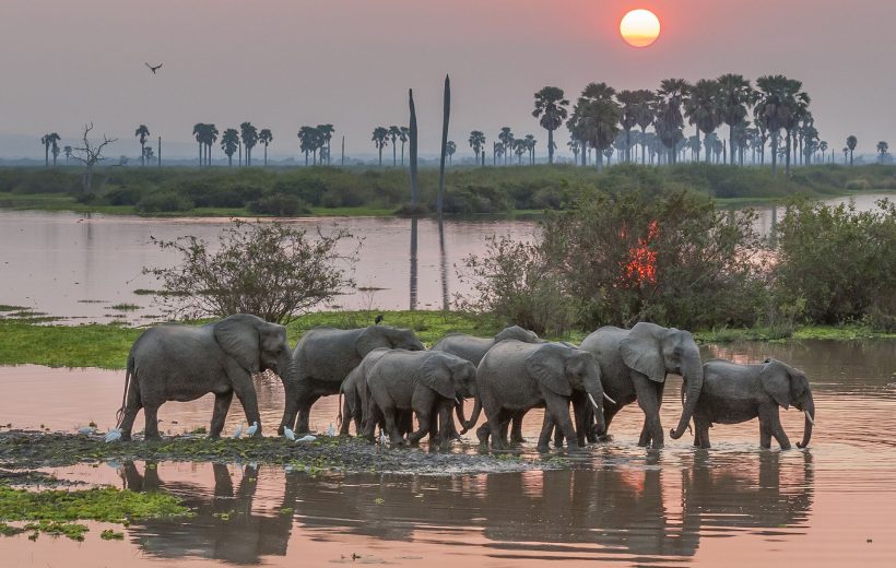 2-Day 1-Night Safari to Selous from Zanzibar