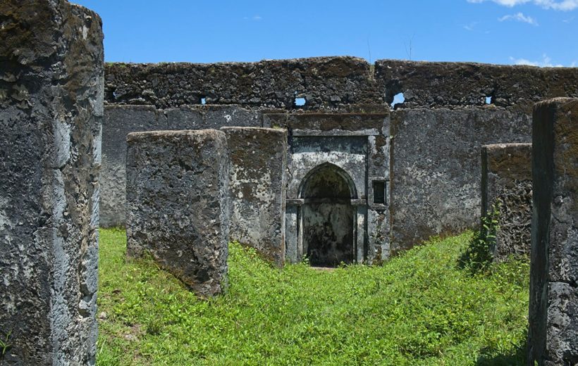 Historical Site Tour: Pujini & Mkamandume